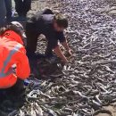 밀물농장 이미지