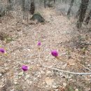 가례경로당 이미지