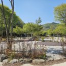 큰시내들펜션 이미지