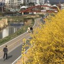 천안터미널 동물약국 이미지