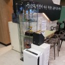 플레타짐 이미지