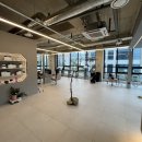 로이펫살롱 | 동반 가능 사심 채우며 트렌디한 머리도 할 수 있는 양산 미용실_오브제 사송(뿌리 염색+헤어스파 후기)
