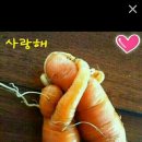 복돌이네 이미지