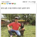 노일호 특수목적견 이미지