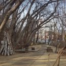 냉천공원 이미지