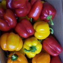 명문농장 이미지