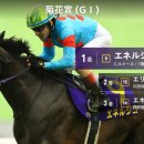 우승목장2 이미지