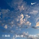 배떡 월곡점 | 23년 6월 - 시험 기간..