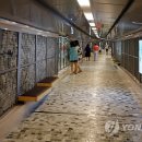 강태공민박 이미지