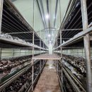 석성농장 이미지