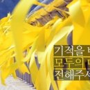 세월호 합동분향소에 이젠 하루 다섯 개의 문자도 오지 않는다는 것을 아세요? (feat. #1111, 정보이용료 무료) 이미지