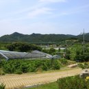 하얀민들레마을 이미지