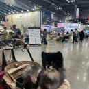 (주)아이펫브랜드 | 2024 케이펫페어 메가주 일산 (하) 펫페어 펫박람회 후기