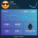 [대회] 2026 용인마라톤 대회 고저도 실화인가.. 10km 레이스 리얼 후기