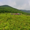 곰배령 꽃길 이미지