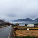 본향