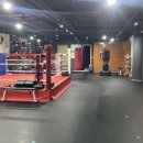 탑 복싱체육관 이미지