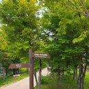 대박쉼터 | 휘닉스파크 태기산둘레길 몽블랑 코스 대박 고생한 후기