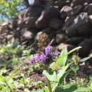 송촌2리 마을회관 이미지