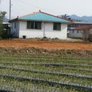 축산보건지소 이미지