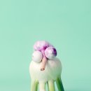 조이푸드 이미지