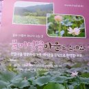 물미연꽃마을 이미지