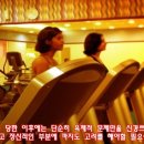 교통사고후유장애] 오래가는 교통사고후유증증상 4가지와 치료법 이미지