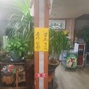 바다양푼이동태탕금왕대소 | 광혜원 동태탕(물 북어탕) 맛있는 집[음성 대소 금왕 삼성면 식당 맛집]