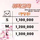 금호유치원 | 수원 애견유치원 강아지들이 만족하는 멍스스쿨 후기