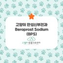 스텔라동물의료센터 이미지