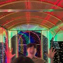 풀빌라앤글램핑랜드B 이미지