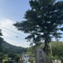 백화쉼터 | 아는사람만 갈 수 있대요 정읍 백화쉼터