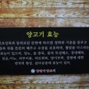 이가네양갈비양꼬치 이미지