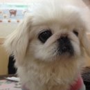 마포구청역 6번출구 이미지