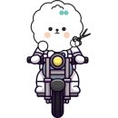 도그랭 강아지놀이방 이미지