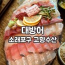 수니네 | 소래포구 대방어 고향수산 수니미네 양념집 방문후기