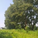 형제농장B 이미지