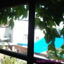 비발디나인풀빌라 이미지