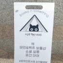 수상한책방;한스 이미지