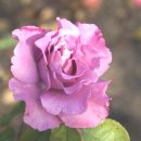소요리 - 송파구 백제고분로41길 33 | 소요리