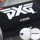 PXG - 수원시 영통구 동탄원천로1133번길 5 | PXG