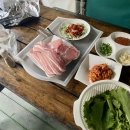 계룡산글램핑 동월숲 이미지