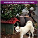 무명화가의 집 이미지