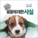 종은 이미지