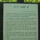 가야천 이미지
