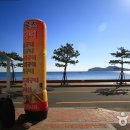 퀸크루즈 리조텔 콘도 티스토리
