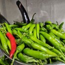 김포아라농장 이미지