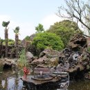 방림원 식물원 이미지