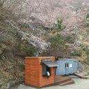에코편백힐링센터