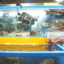 안양수산 - 안양시 동안구 인덕원로12번길 45-1 | 안양수산